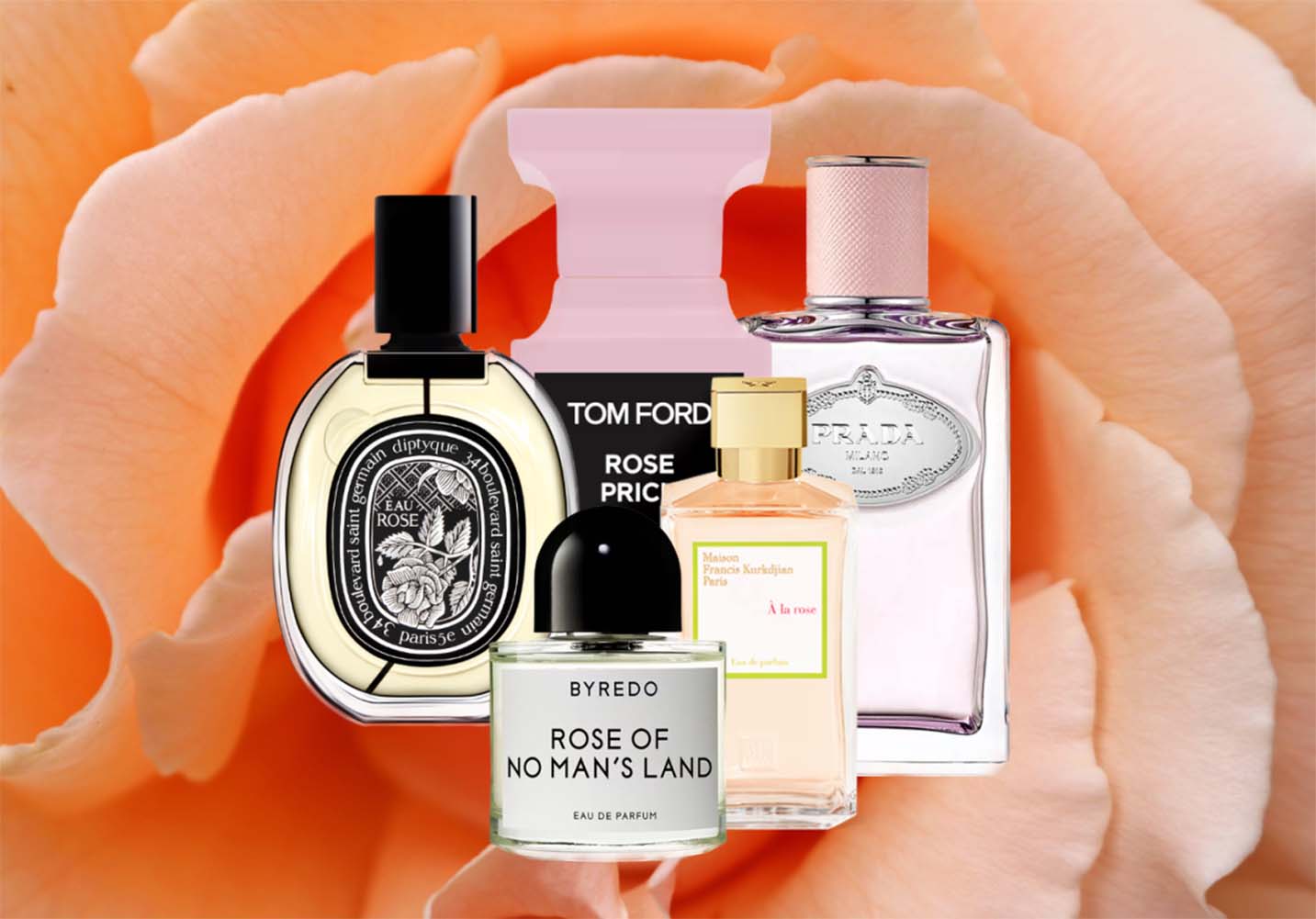 17 Parfums Envoûtants à la Rose Qui Captivent les Compliments